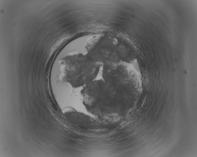 X0000068820679200605261551