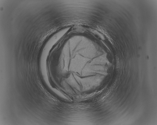 X0000068820681200605261551