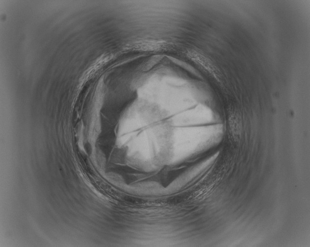 X0000068820682200605261551