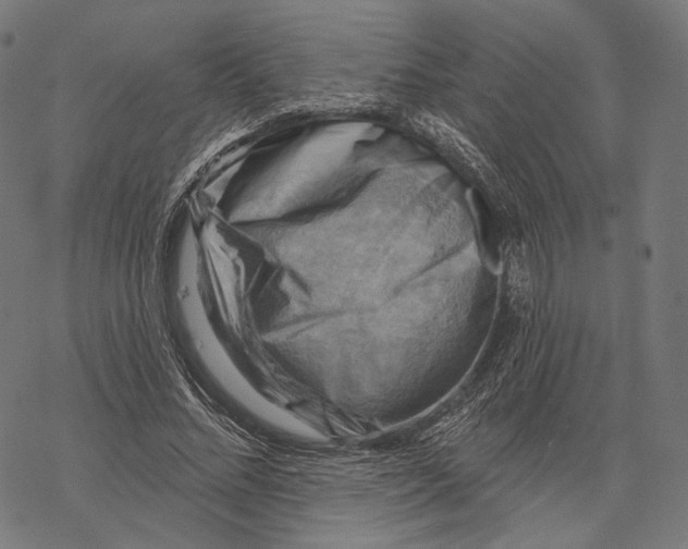 X0000068820684200605261551