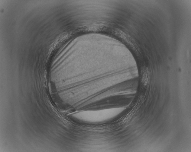 X0000068820685200605261551