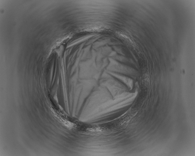 X0000068820688200605261551