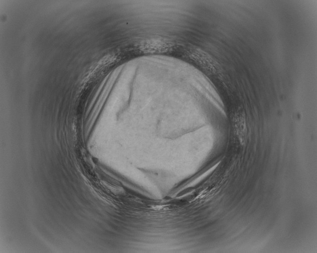 X0000068820690200605261551