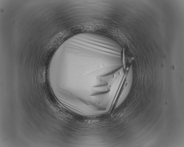 X0000068820694200605261551