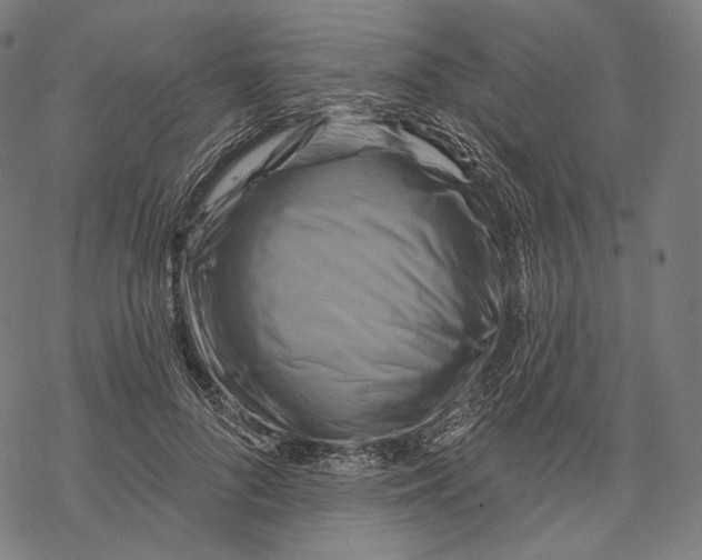 X0000068820696200605261551