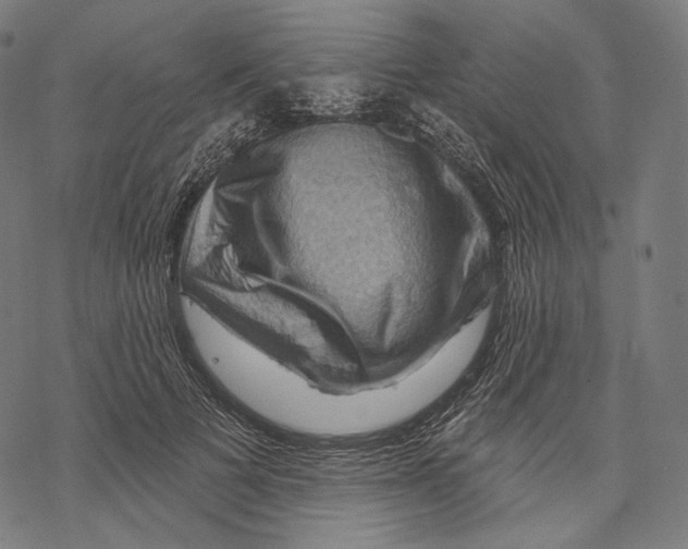 X0000068820697200605261551