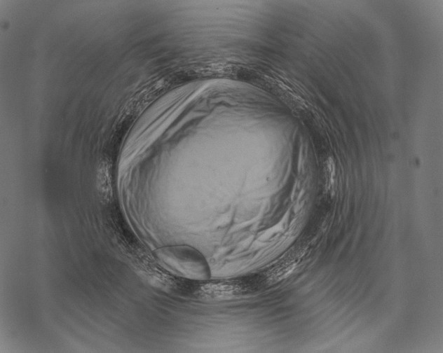 X0000068820699200605261551