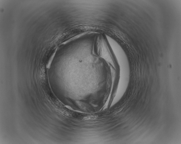 X0000068820700200605261551