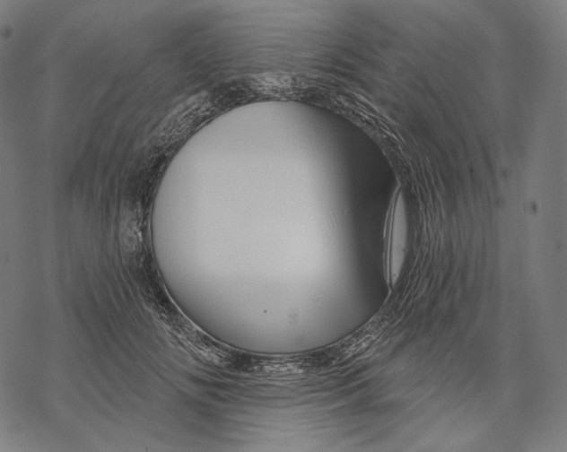 X0000068820702200605261551