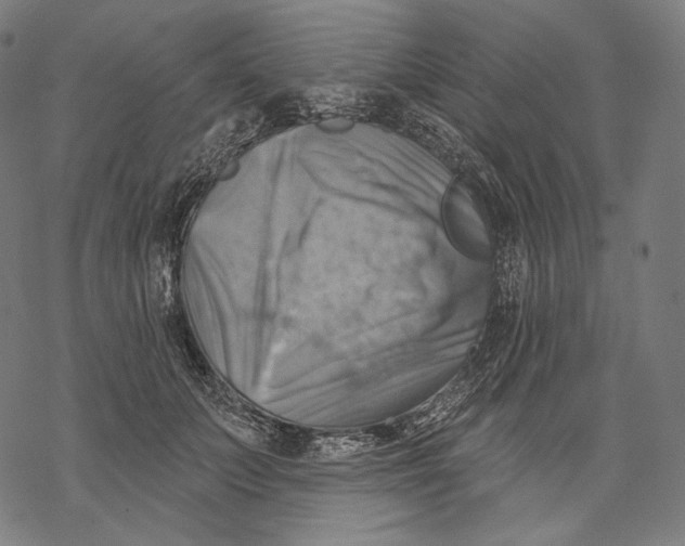 X0000068820703200605261551