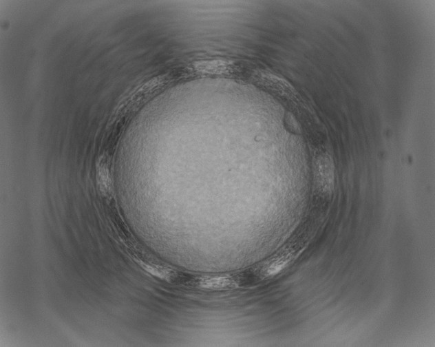 X0000068820705200605261551