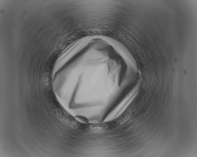 X0000068820706200605261551
