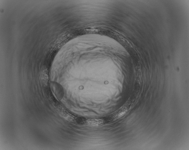 X0000068820707200605261551