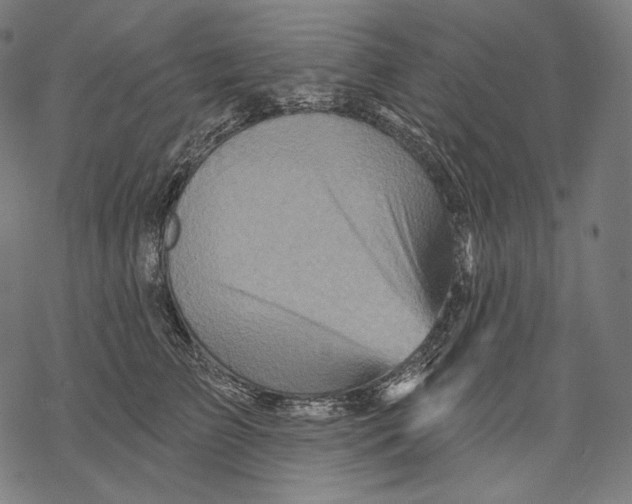 X0000068820709200605261551