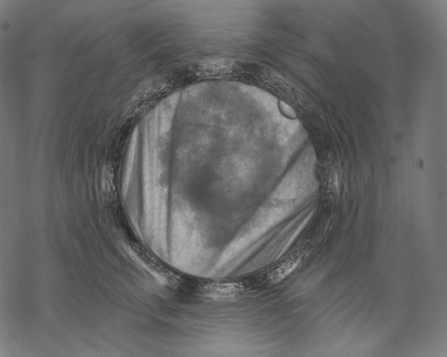 X0000068820711200605261551