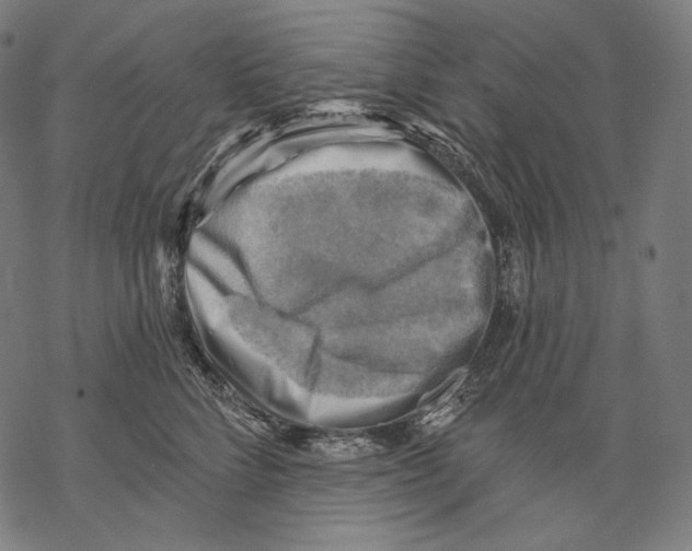 X0000068820712200605261551