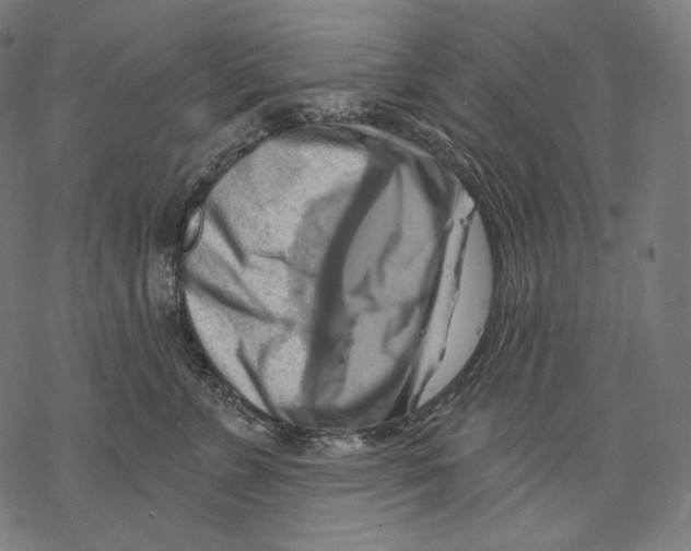 X0000068820715200605261551