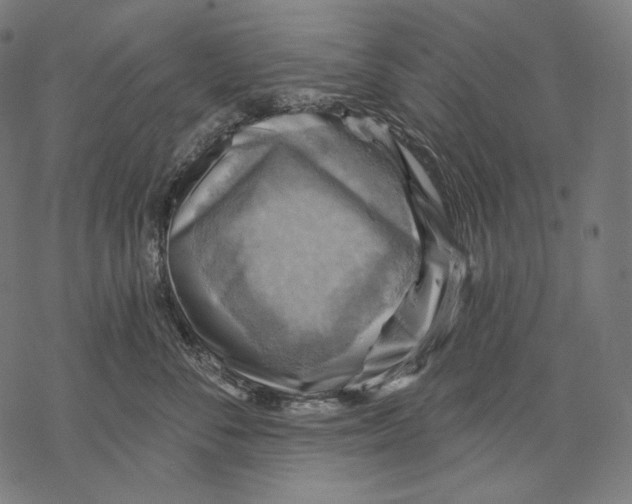 X0000068820716200605261550