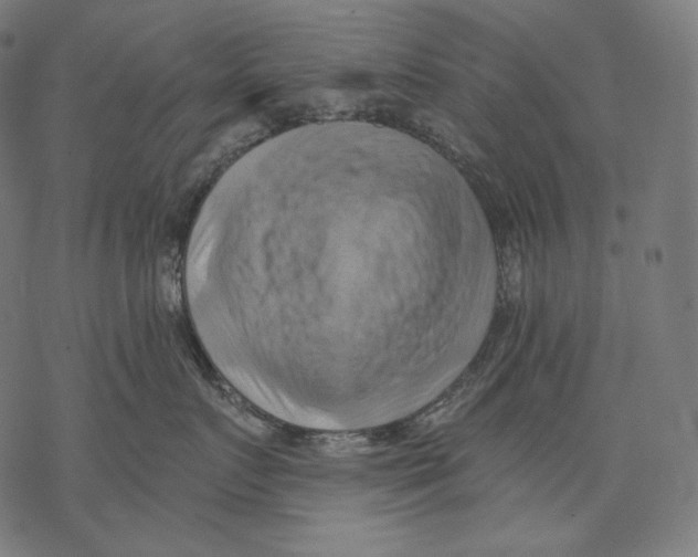 X0000068820719200605261550