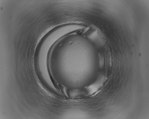 X0000068820726200605261550