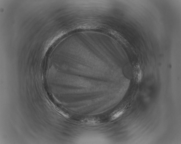 X0000068820727200605261550