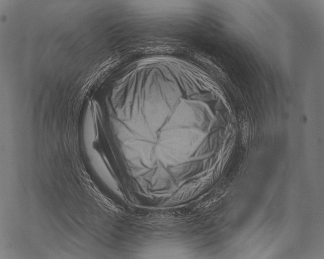 X0000068820729200605261550