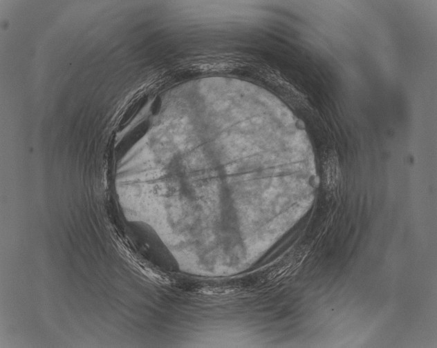 X0000068820733200605261550