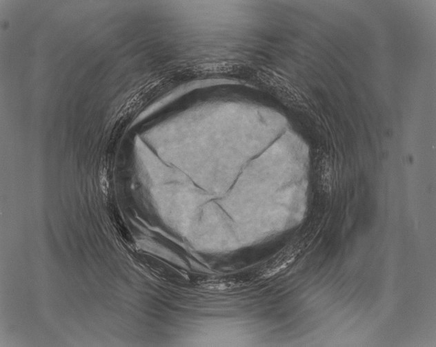 X0000068820746200605261550
