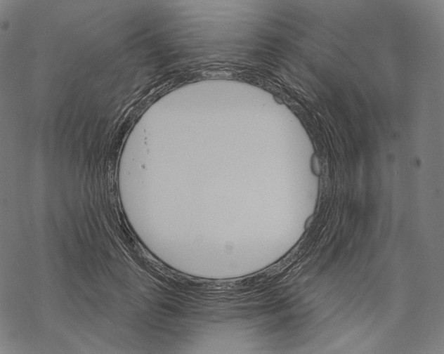 X0000068820747200605261550
