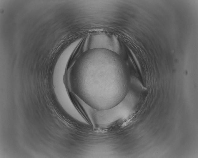X0000068820750200605261550