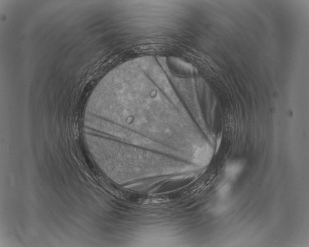 X0000068820751200605261550