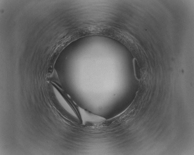 X0000068820752200605261550