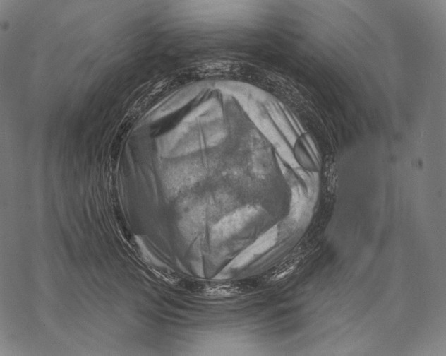 X0000068820753200605261550
