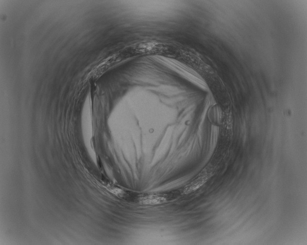 X0000068820754200605261550