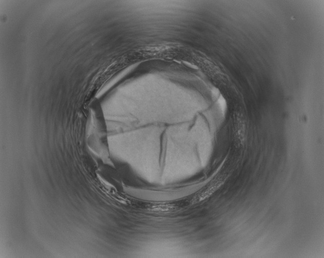 X0000068820758200605261550