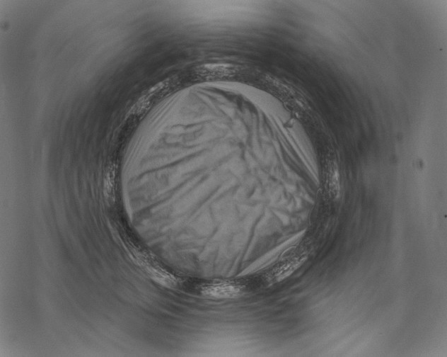 X0000068820759200605261550