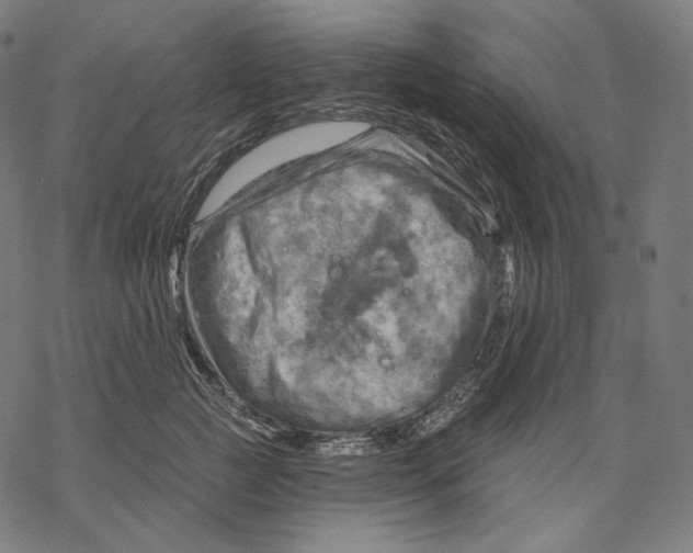 X0000068820761200605261550