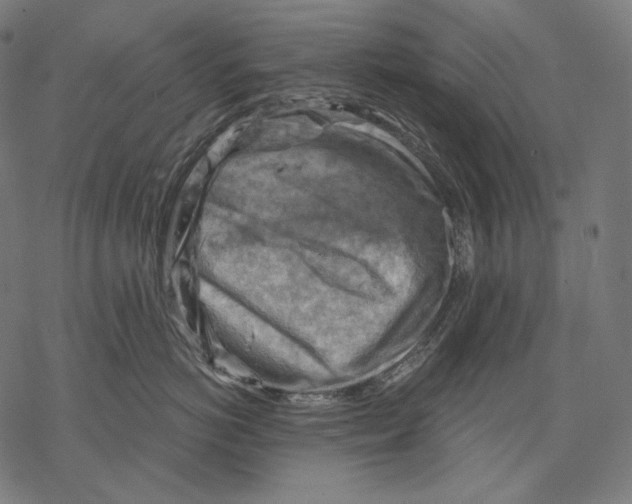 X0000068820766200605261550