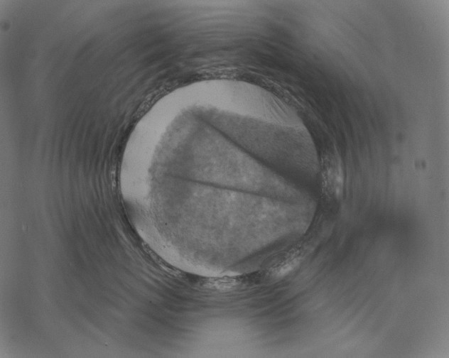 X0000068820767200605261550