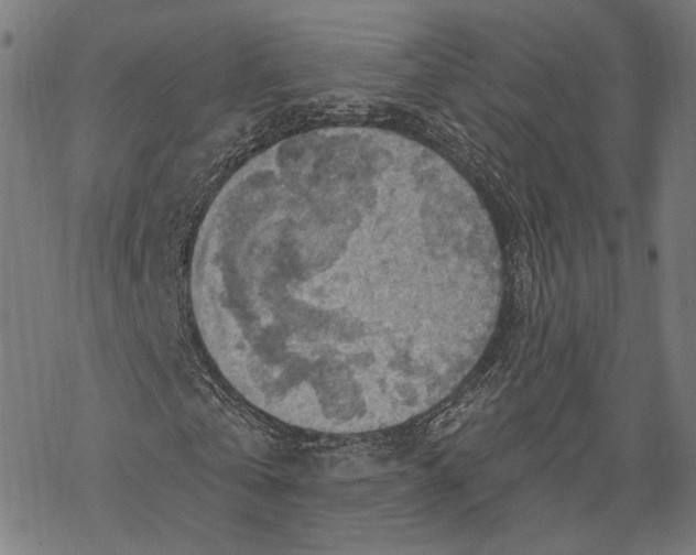 X0000068820769200605261550