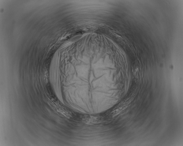 X0000068820772200605261550