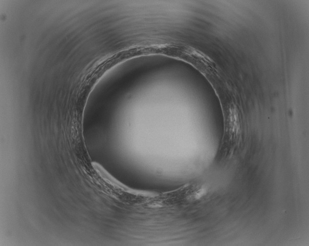 X0000068820773200605261550