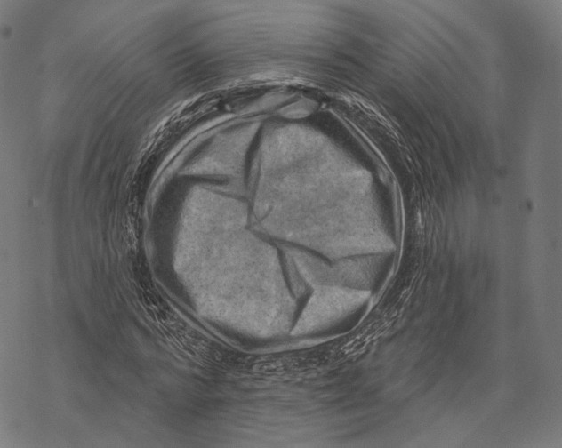 X0000068820776200605261550