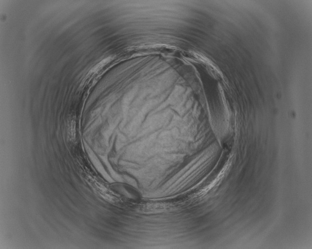 X0000068820777200605261550