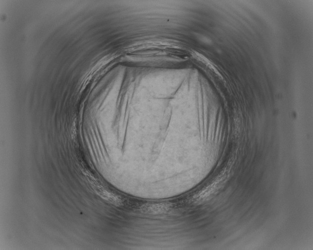 X0000068820778200605261549