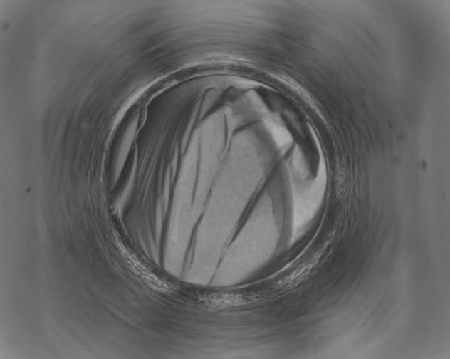 X0000068820783200605261549