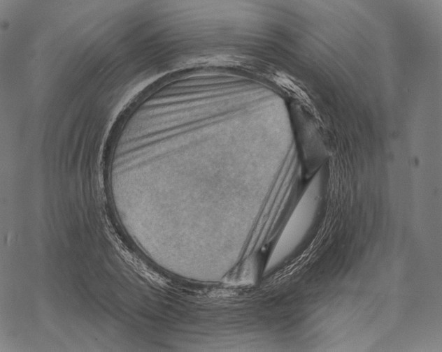 X0000068820784200605261549