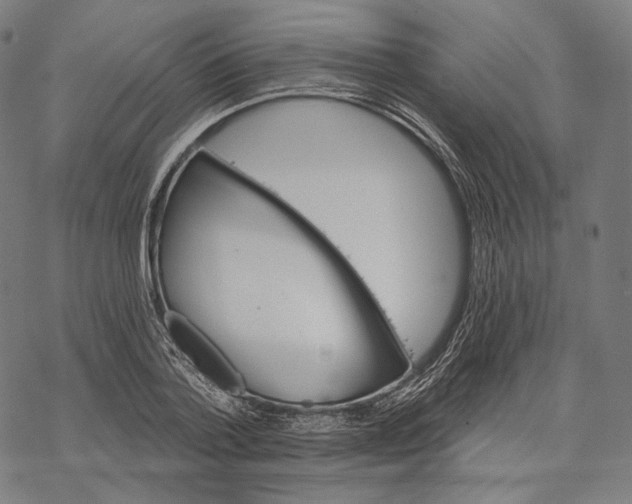 X0000068820788200605261549