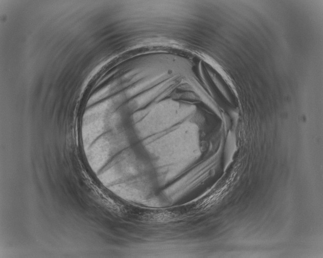 X0000068820791200605261549