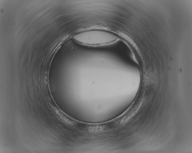 X0000068820793200605261549